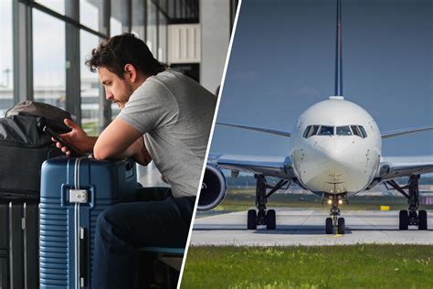 Can I Take Flowers on a Plane? And Why Do Airports Smell Like Hope and Despair?