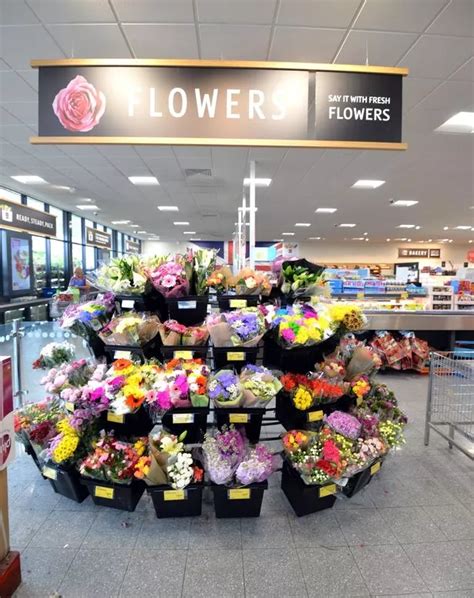 Does Aldi Have Flowers? And Why Do They Smell Like Discounted Dreams?