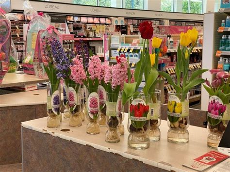 Does Walgreens Have Flowers: A Kaleidoscope of Floral Possibilities and Beyond