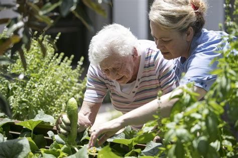 How Does Gardening Help the Elderly: A Journey Through Time and Soil