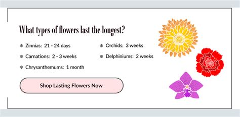 How Long Do Flowers Last Out of Water: A Journey Through Time and Petals