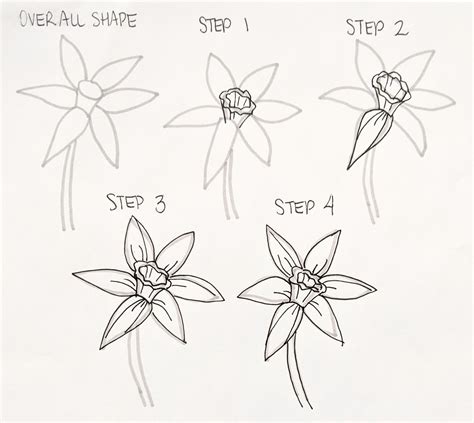 How to Doodle Flowers: A Journey Through Petals and Pencils