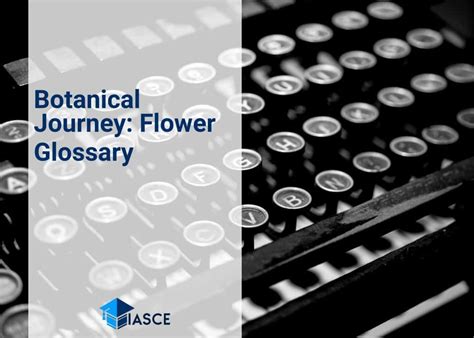 How to Spell Flowers: A Journey Through Linguistic Petals and Philosophical Roots