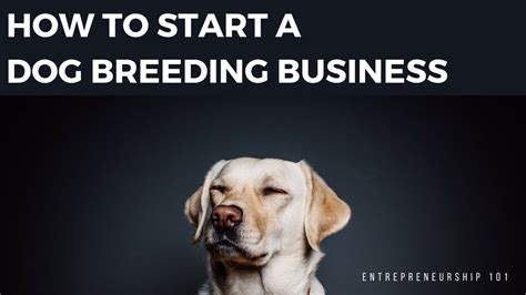 How to Start a Dog Breeding Business: A Comprehensive Guide to Unleashing Your Passion for Canines