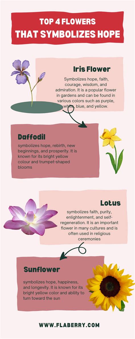 What Flowers Represent Hope: A Blossoming Discussion on Floral Symbolism