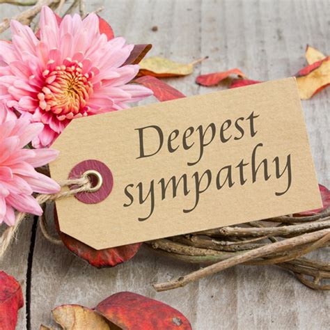 What to Put on Card for Funeral Flowers: A Reflection on Expressions of Sympathy