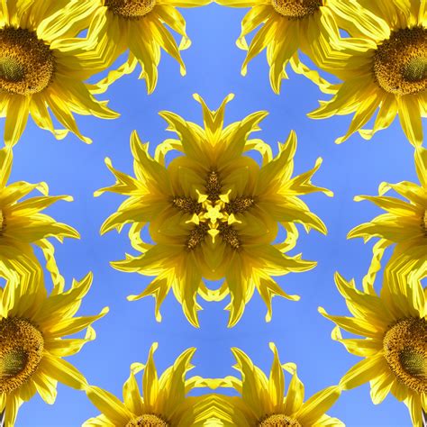 When Do You Give Yellow Flowers: A Kaleidoscope of Thoughts and Traditions