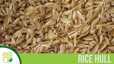 Where to Buy Rice Hulls for Gardening: A Comprehensive Guide to Sourcing and Utilizing This Versatile Material