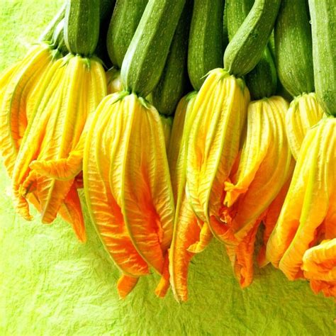 Where to Buy Zucchini Flowers: A Culinary Adventure Beyond the Ordinary